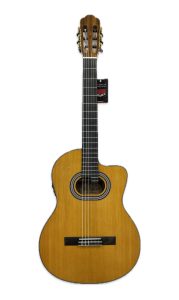 گیتار حرفه ای تین بادی پالادو CG90 کات اوی رنگ براق