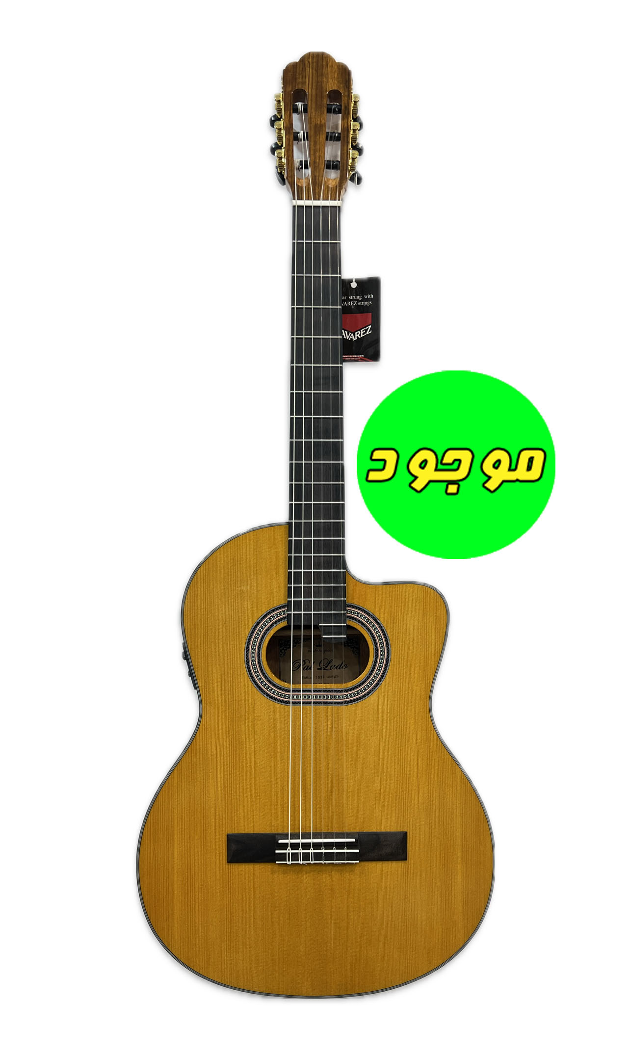 گیتار حرفه ای تین بادی پالادو CG90 کات اوی رنگ براق